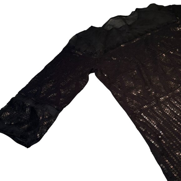 Adrienne Vittadini Collection Tunic Blouse Womens Sheer Sequin Top Long Sleeve - Picture 2 of 16